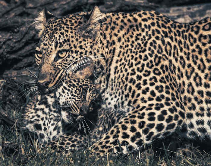 BK8I1103 - GALLERY.jpg